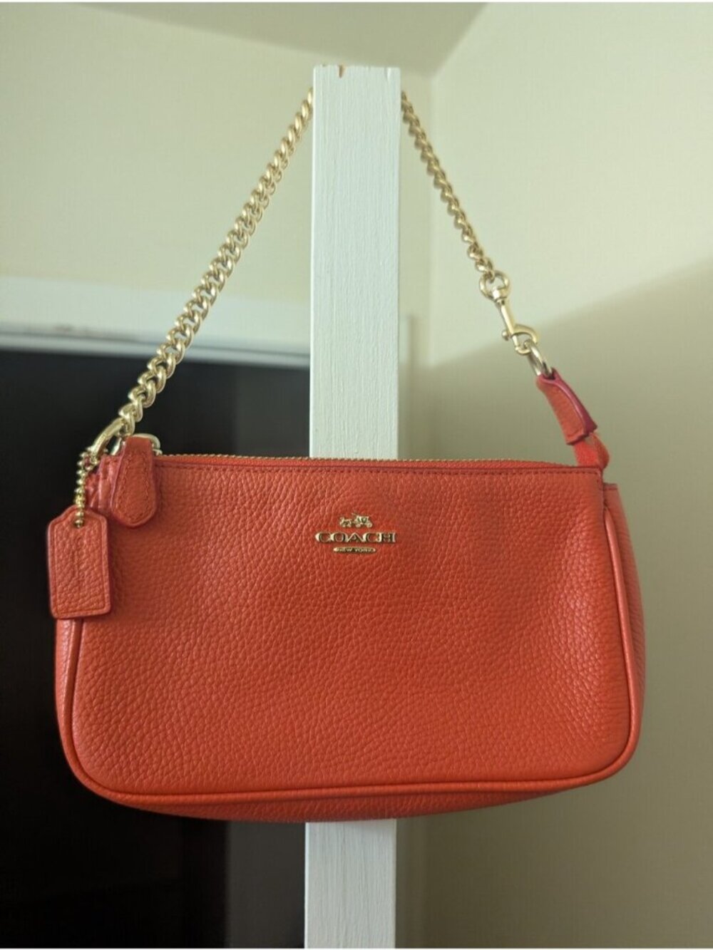 COACH Nolita 19 Coral Leather Pochette Mini Bag